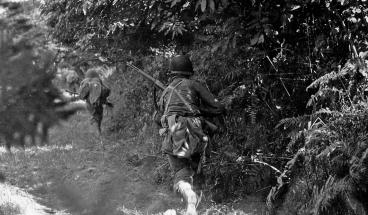 The “Battle of the Hedgerows”