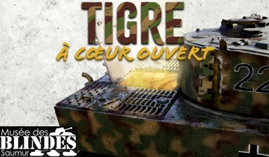 Tigre-a-coeur-ouvert