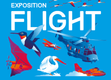 Exposition-Flight-2024-2025