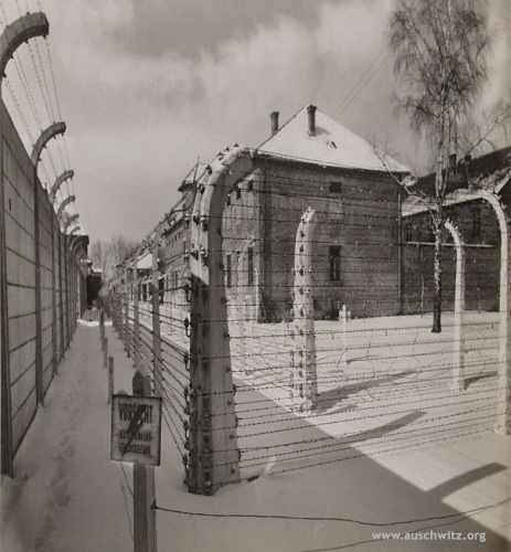 © Auschwitz-Birkenau State Museum