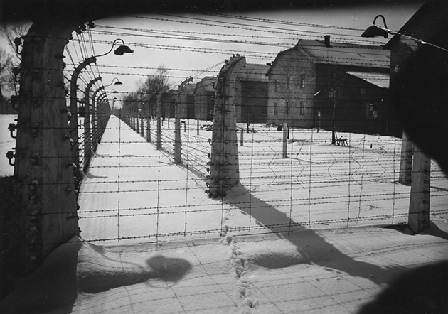 Auschwitz