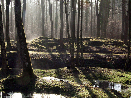 La forêt conservatoire des villages disparus, 2016. © D. Jacquemot