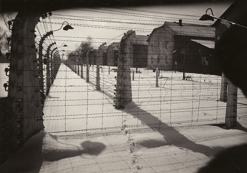 auschwitz