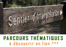 Parcours-thématiques-Tourisme-mémoire