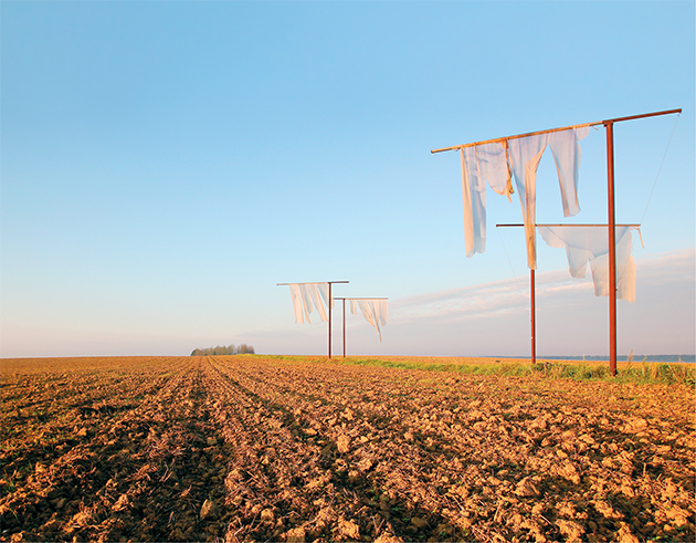 The Lost Men France (Les hommes perdus), installation de Paul Emmanuel près du Mémorial de Thiepval, 2014.