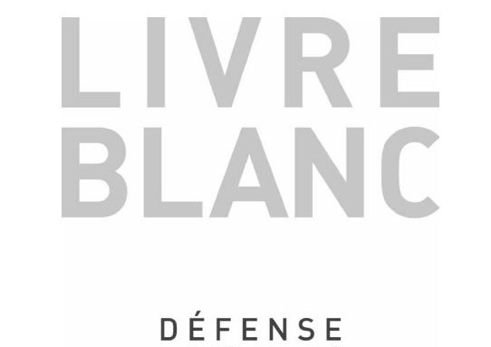 livre blanc