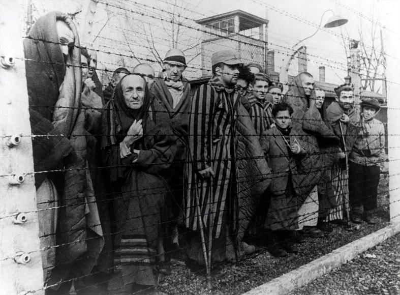 Déportés derrière les barbelés lors de la libération d'Auschwitz, 27 janvier 1945.