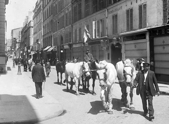 Arrivée d’un convoi de 600 chevaux réquisitionnés, Paris, août 1914