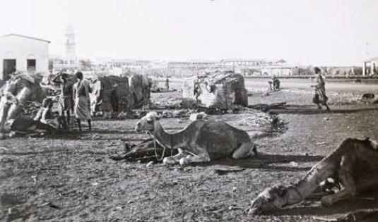 Fonds photographique René Denis. Escale à Djibouti