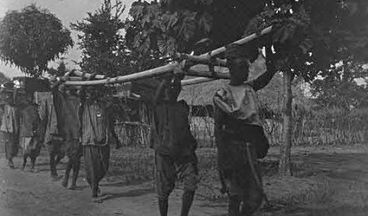 Archives photographiques du lieutenant Pierre Citerne en Côte d'Ivoire (1903-1904)
