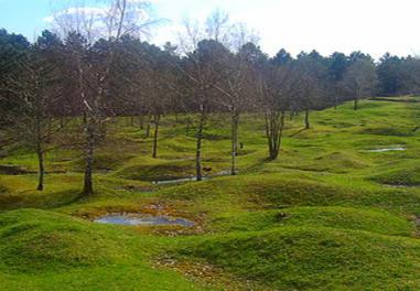 La bataille de Verdun