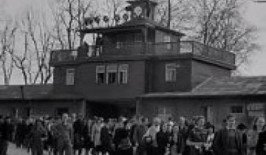 Civils allemands de Weimar contraints de visiter le camp de Buchenwald après sa ...