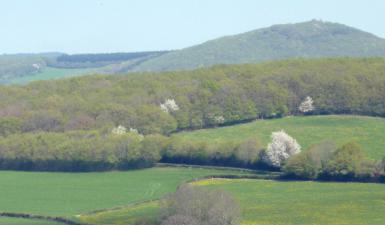 Parc du Morvan 