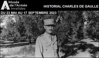 Les Combats oubliés des Forces françaises libres : la campagne de Tunisie