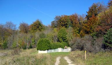 Cimetière militaire soviétique Gänsewag