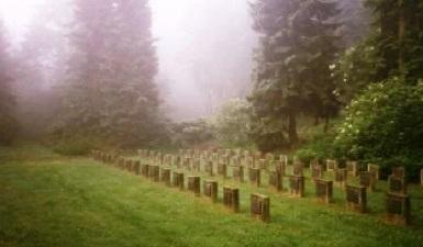 Carré militaire soviétique du cimetière principal de Sarrebruck
