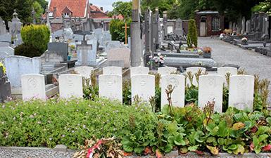 Sépultures militaires du Commonwealth du cimetière communal de Templeuve