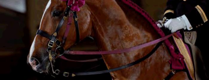 Cadre Noir de Saumur: Discover France's unique style of horse riding