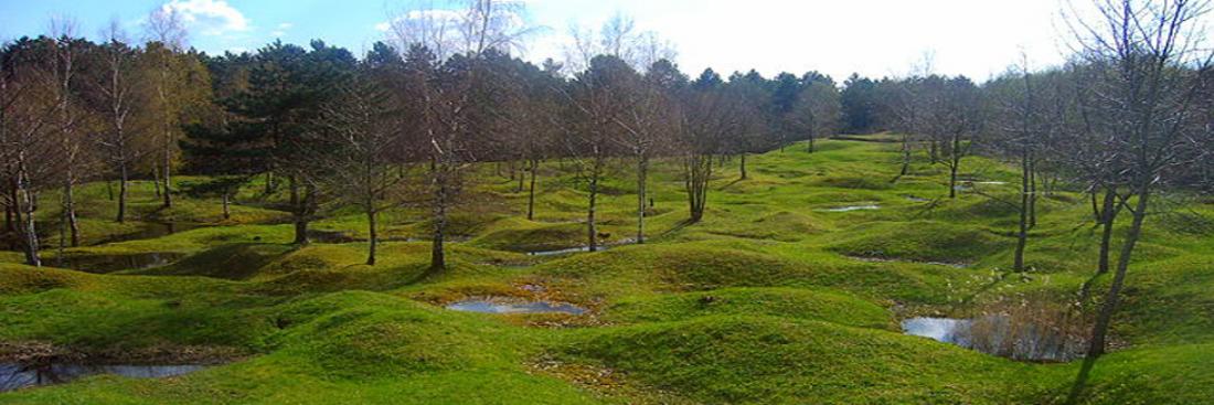 Un champ de bataille de Verdun pendant la guerre 1914-1918 qui conserve les impacts d'obus. 