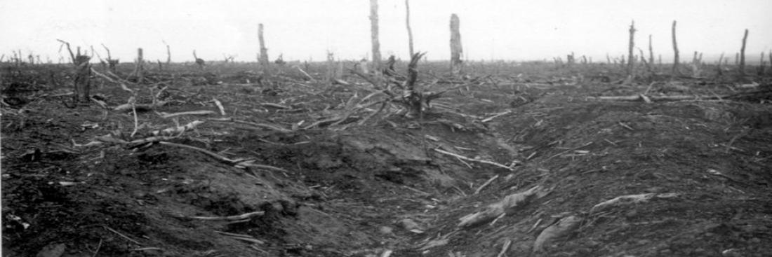 Réseau de tranchées présent en 1916 dans le bois Fumin. 
